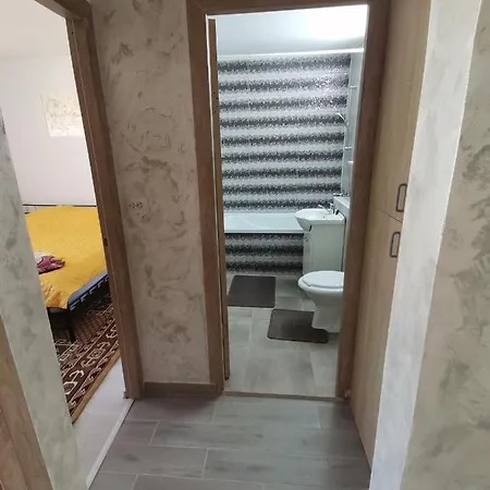 Apartament Carina Apartment
